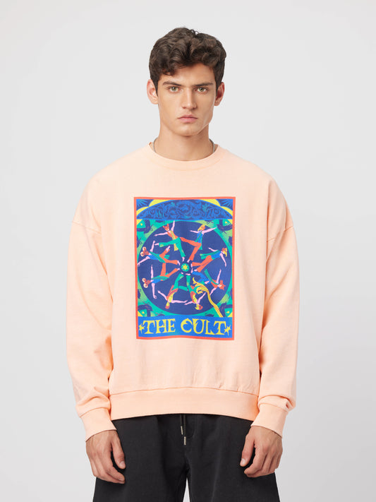 The cult sweatshirt